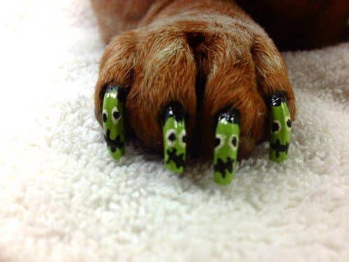 Warren London Dog Products - Pawdicure Nail Polish Pen - Quick Dry - 13 Colors: White